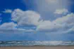 Zee met meeuw - schilderij Marieanne Lops
